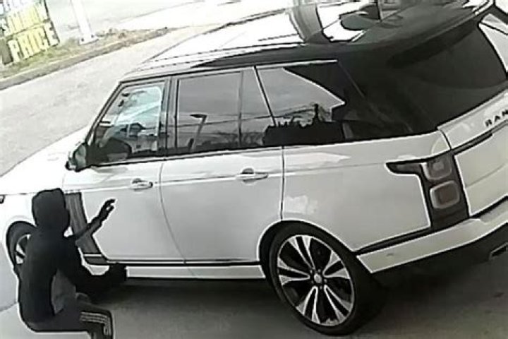 
Dog Sustains ‘Serious Injuries’ After Car Thief Throws Victim’s Pet onto Freeway 