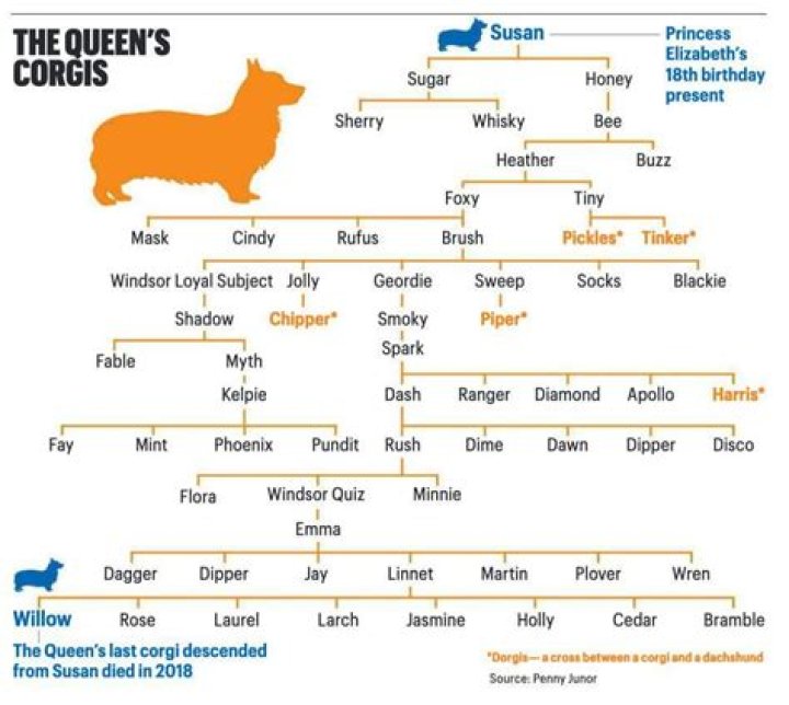 
How many corgis did the queen have in her lifetime 