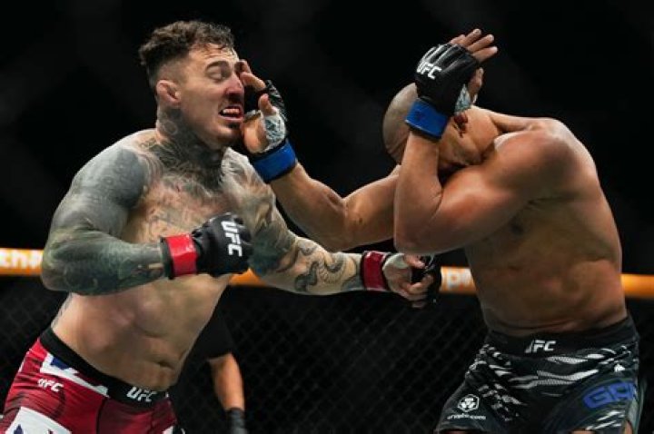
UFC: Who Are Ciryl Gane Parents? The Mixed Martial Artist Is Of Guadeloupe Descent 